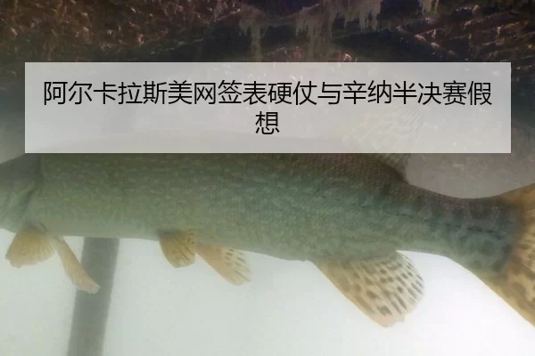 a-er-ka-la-si-mei-wang-qian-biao-ying-zhang-yu-xin-na-ban-jue-sai-jia-xiang-3-671.jpg