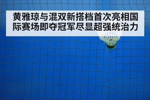 badminton net play